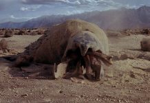 Tremors (1990) Review & Breakdown: 31 Days of Halloween (Day 7) | Scream Creeps